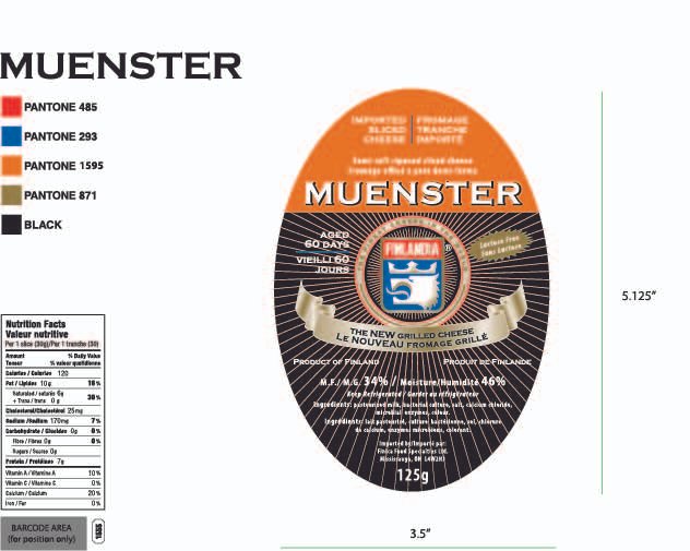 MuensterSilcesFinal